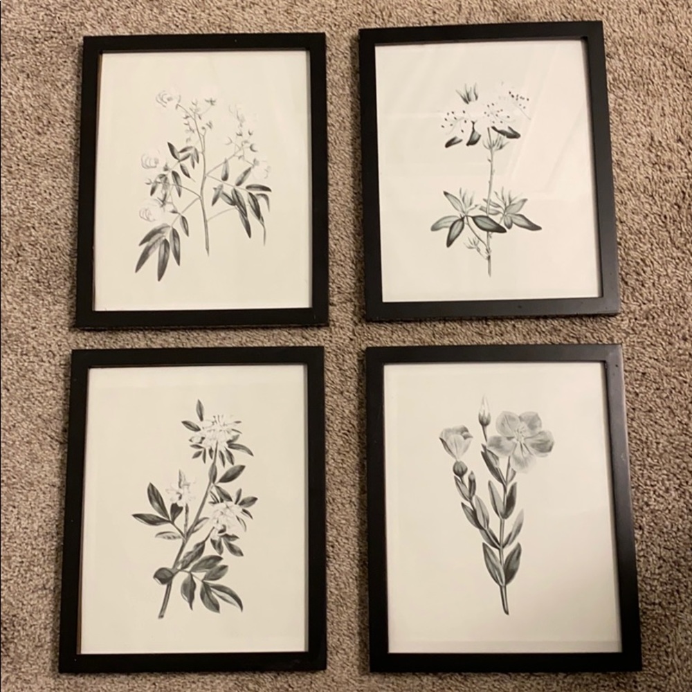 Set of 4 8x10 Botanical Prints in Frames